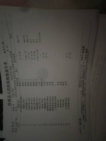 journal_insert_pic_1160369923