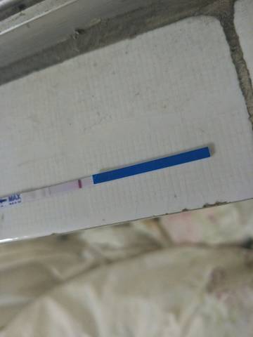 journal_insert_pic_1161185517