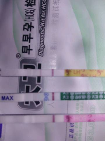 journal_insert_pic_1161868559