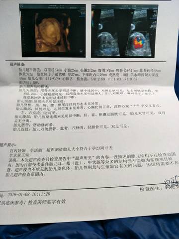 journal_insert_pic_1162053324