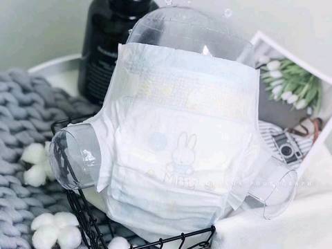 journal_insert_pic_1162053835