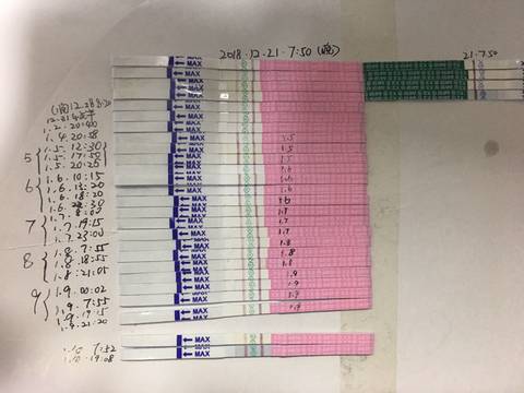 journal_insert_pic_1163232547