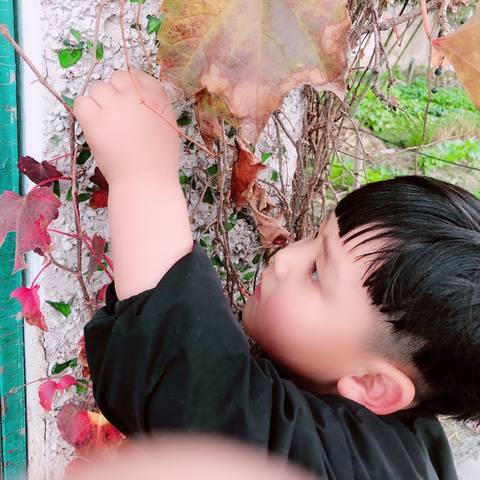 journal_insert_pic_1163681785