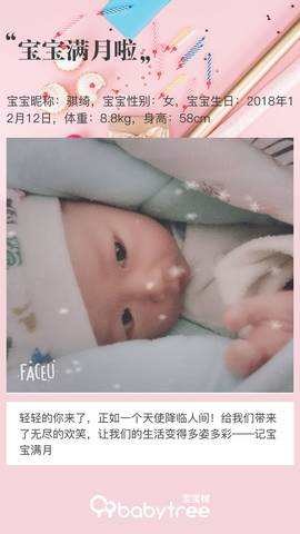 journal_insert_pic_1163501631