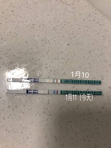 journal_insert_pic_1163475482