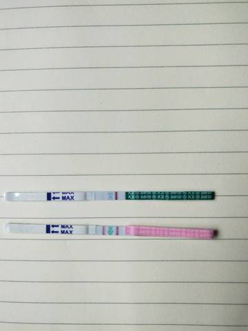 journal_insert_pic_1164997113