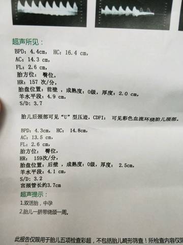 journal_insert_pic_1165078421