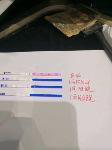 journal_insert_pic_1164950877