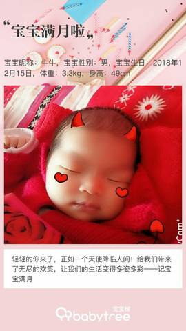 journal_insert_pic_1164950446