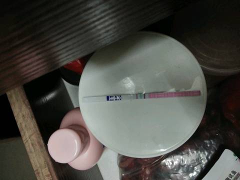 journal_insert_pic_1165155851