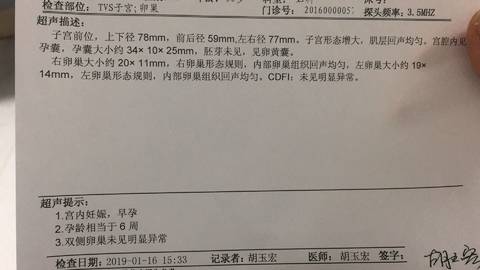 journal_insert_pic_1166210205