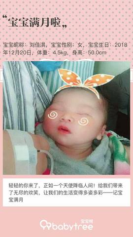 journal_insert_pic_1166162402