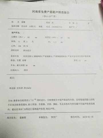 journal_insert_pic_1166195240