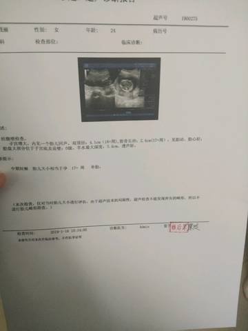 journal_insert_pic_1166056782