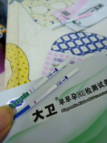 journal_insert_pic_1166746495