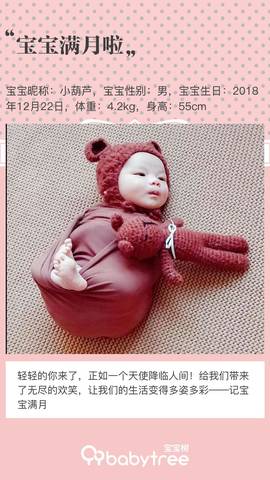 journal_insert_pic_1167663803