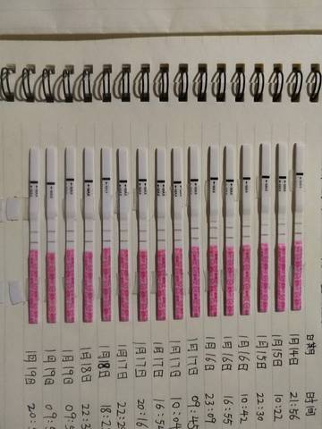journal_insert_pic_1167763796
