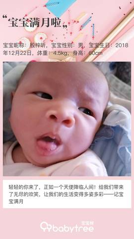 journal_insert_pic_1168062977