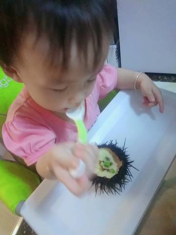 journal_insert_pic_1168629398