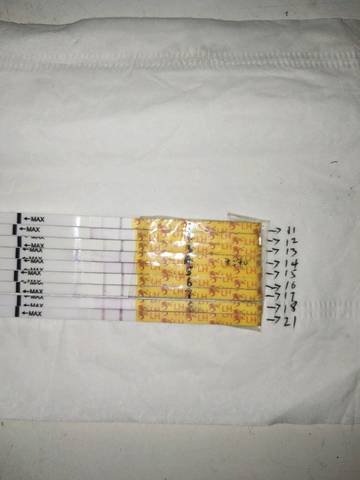 journal_insert_pic_1168778224
