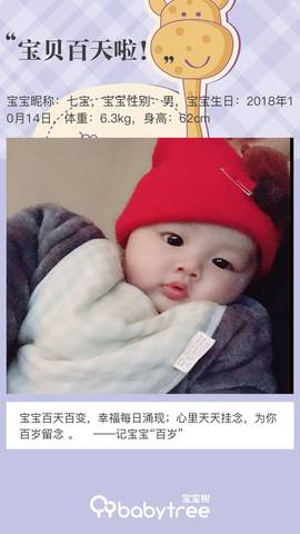 journal_insert_pic_1168933721