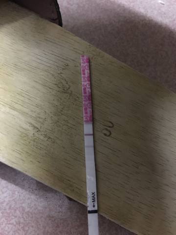 journal_insert_pic_1169515765