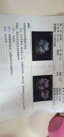 journal_insert_pic_1169388187