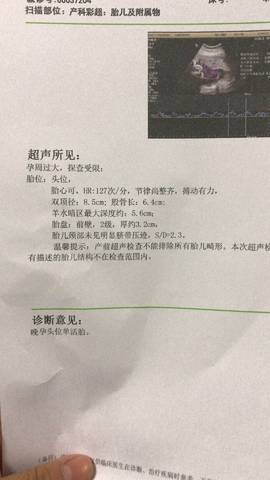 journal_insert_pic_1169803727