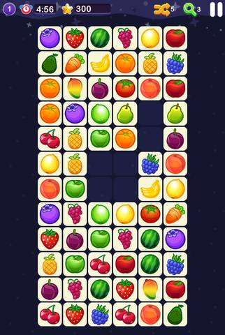 journal_insert_pic_1170491326