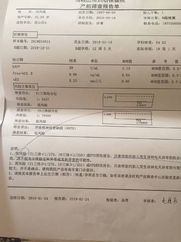 journal_insert_pic_1170503115