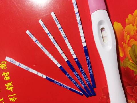 journal_insert_pic_1170867914