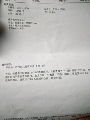 journal_insert_pic_1171031246