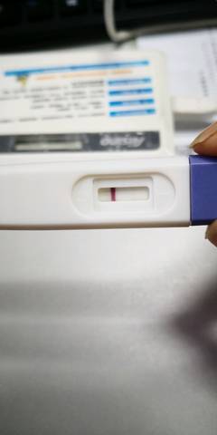 journal_insert_pic_1172355875