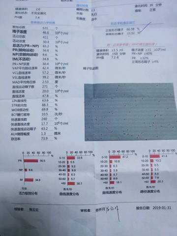 journal_insert_pic_1173557052