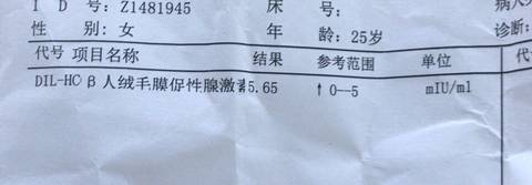 journal_insert_pic_1174631371