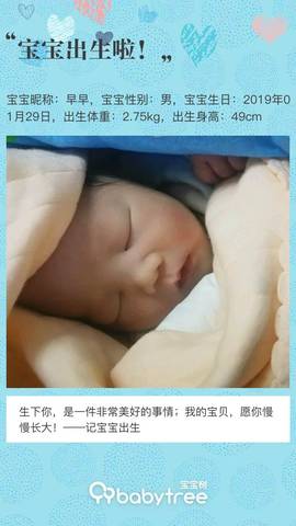 journal_insert_pic_1174232123
