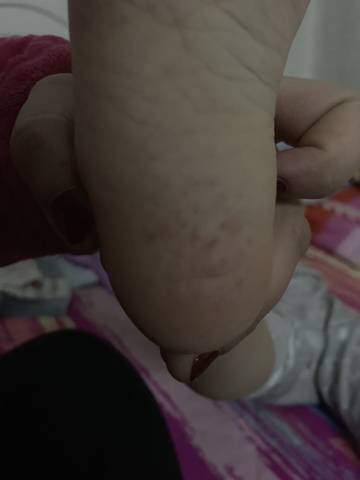 journal_insert_pic_1174629258
