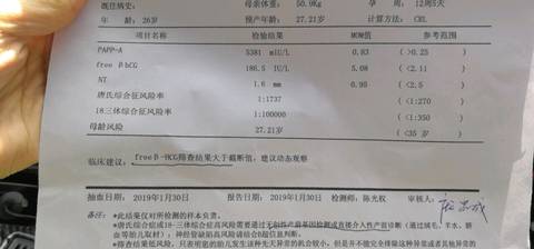 journal_insert_pic_1174450213