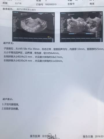 journal_insert_pic_1174863591