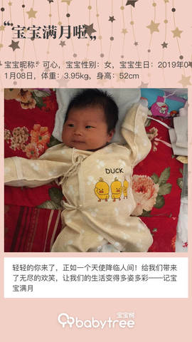 journal_insert_pic_1175143747