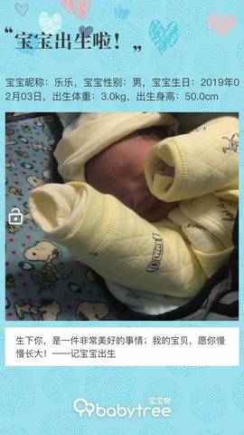 journal_insert_pic_1175165413