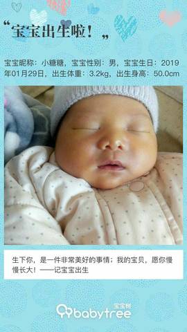 journal_insert_pic_1175642885