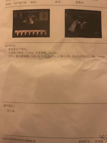 journal_insert_pic_1177503256