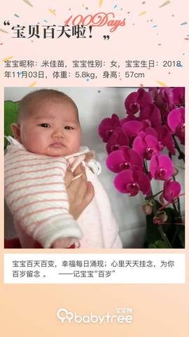 journal_insert_pic_1177543080