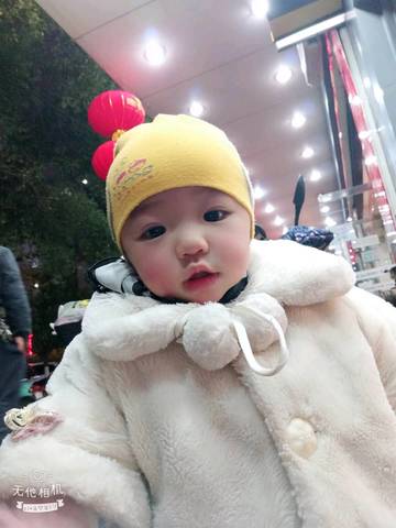 journal_insert_pic_1178122539
