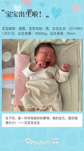 journal_insert_pic_1178187331