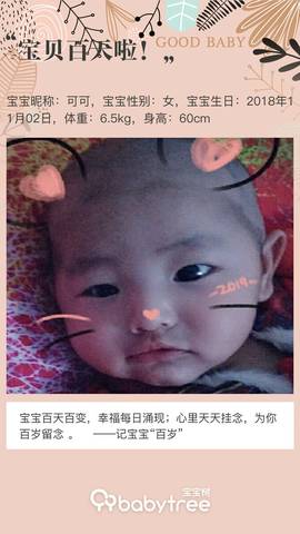 journal_insert_pic_1178908222