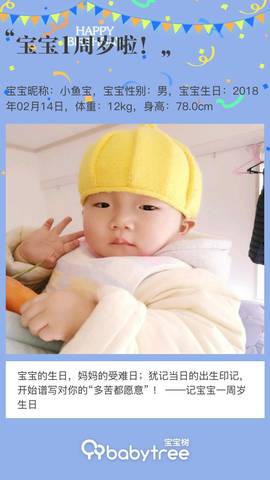 journal_insert_pic_1179557749
