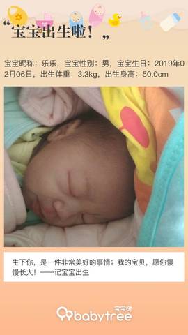 journal_insert_pic_1180326934