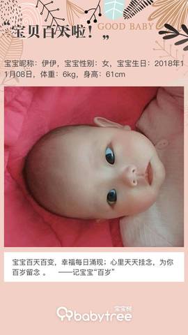 journal_insert_pic_1181562044